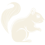 logo 500x500
